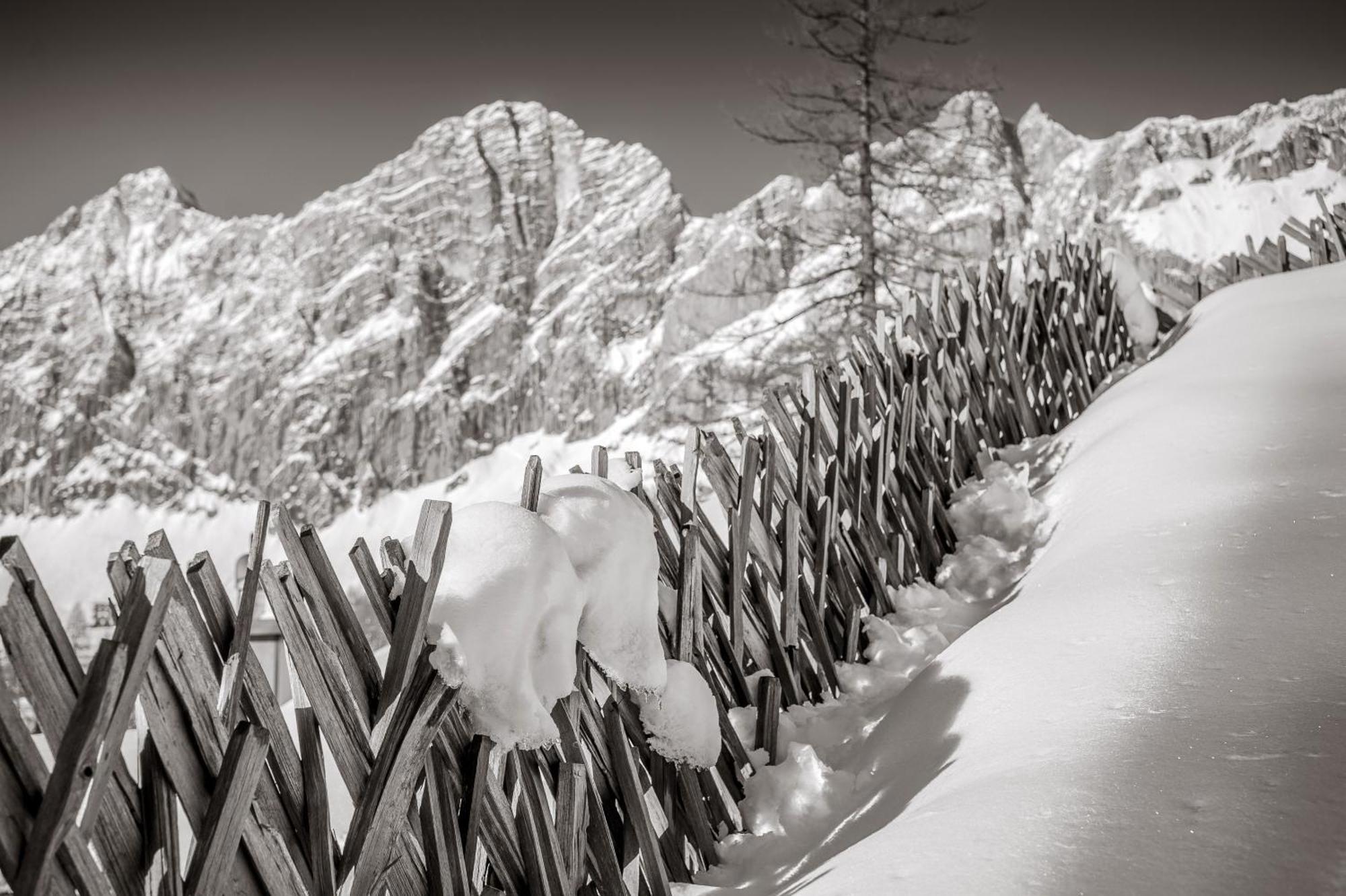 Naturchalet Hoeflehner - Heimgefuehl & Ruhelage An Loipe & Wanderweg Ramsau am Dachstein Exterior foto